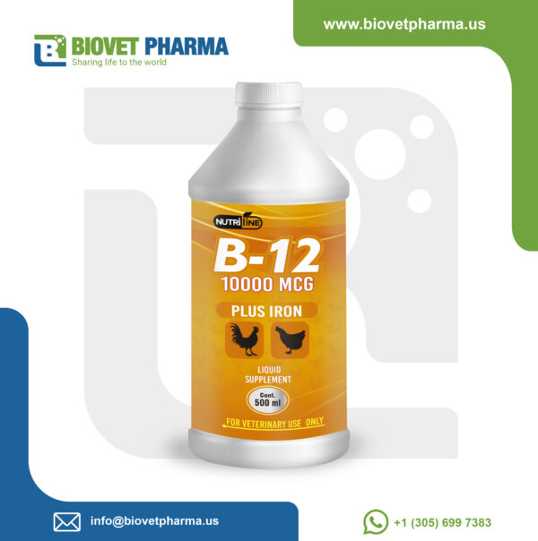 Vitamin B12 plus Iron