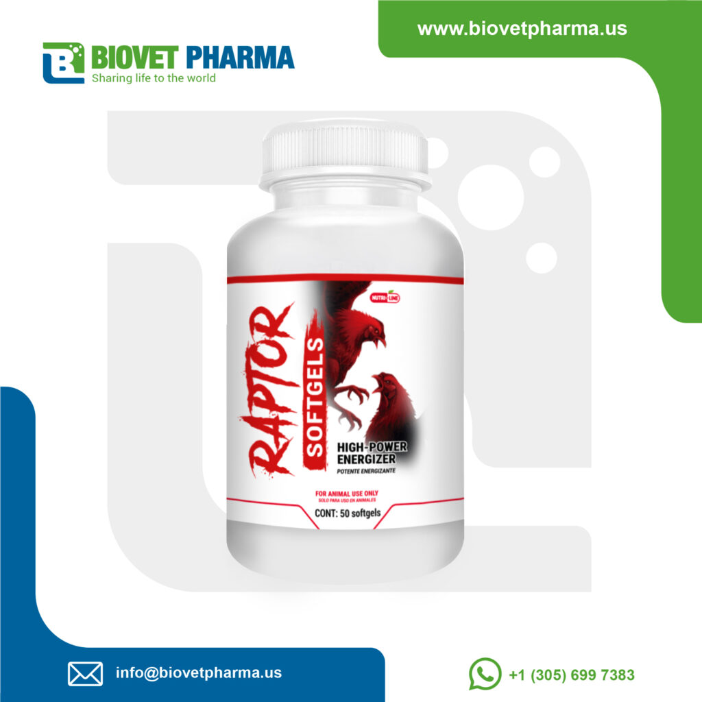 Provital Raptor Raptor 50 Softgels – High Power Energizer – Biovet Pharma